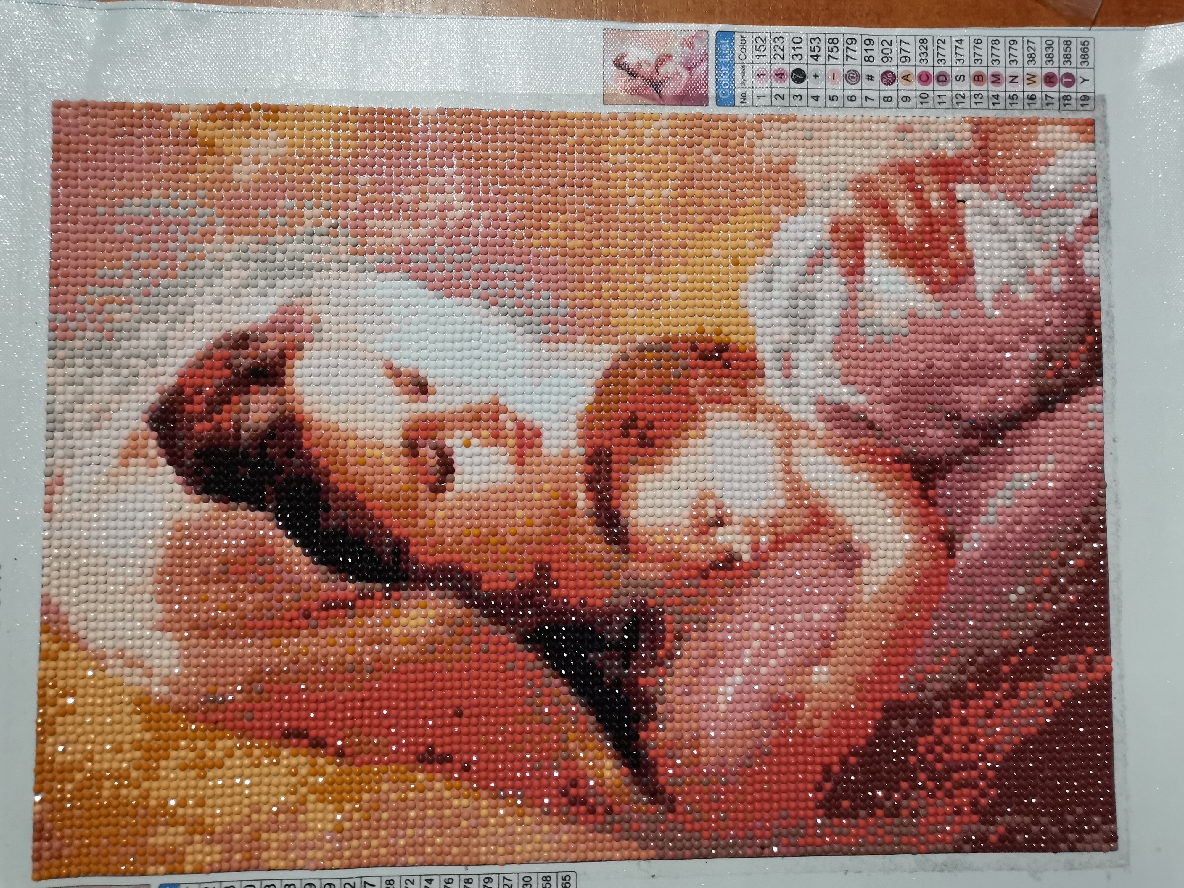 1000005666
